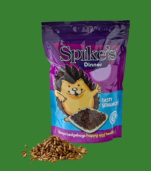 Spike Hedgehog Food - Semi Moist