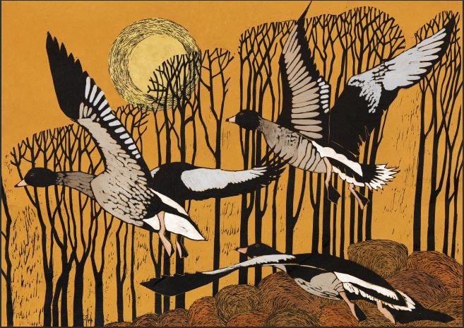 Pink Feet Rising - Lisa Hooper