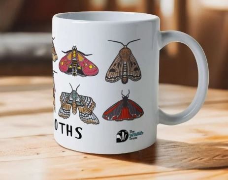 Moth Mug