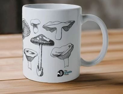 Mushroom Mug
