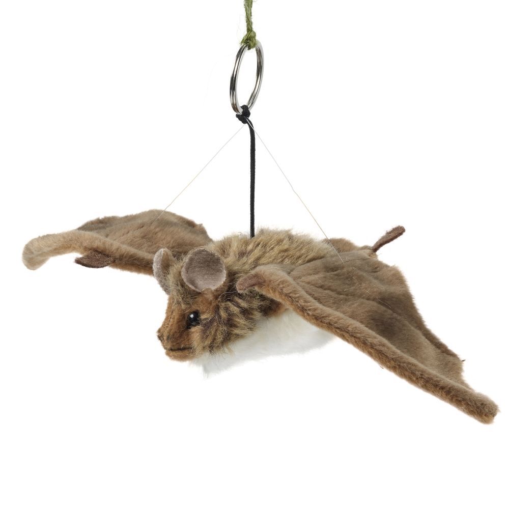 Small Cuddly Bat