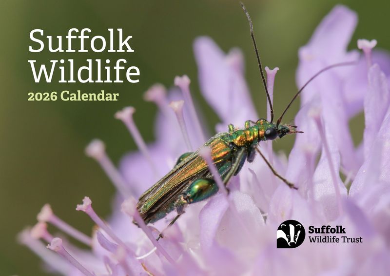 Suffolk Wildlife Trust Calendar - 2026