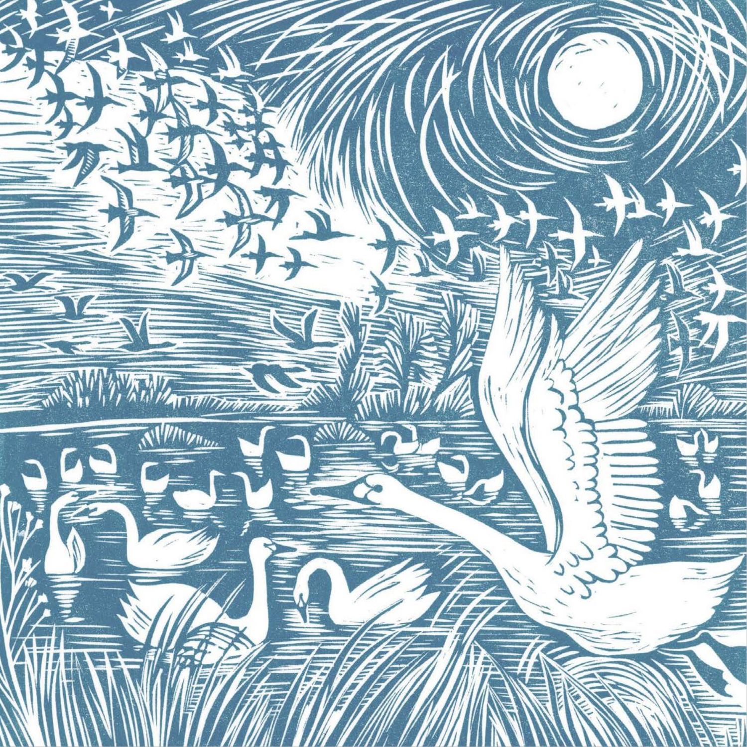 Winter Visitors - Celia Hart