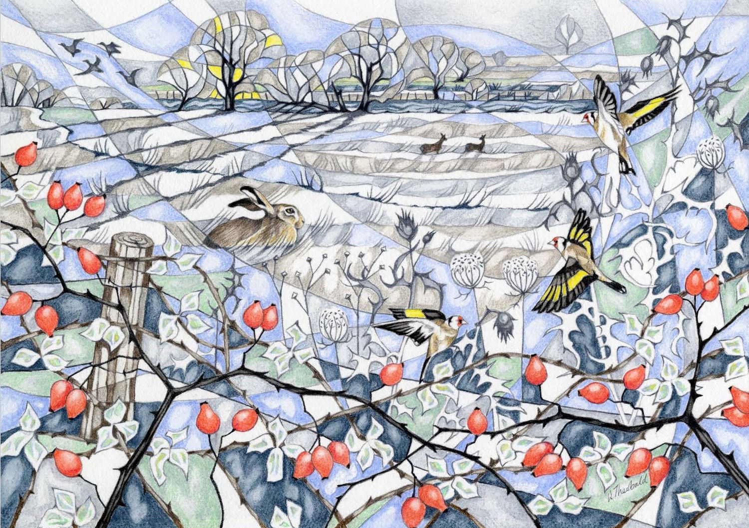 Rewilding at Black Bourn  - Wendy Theobald