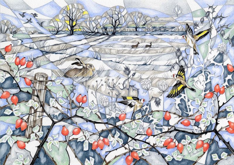 Rewilding at Black Bourn  - Wendy Theobald