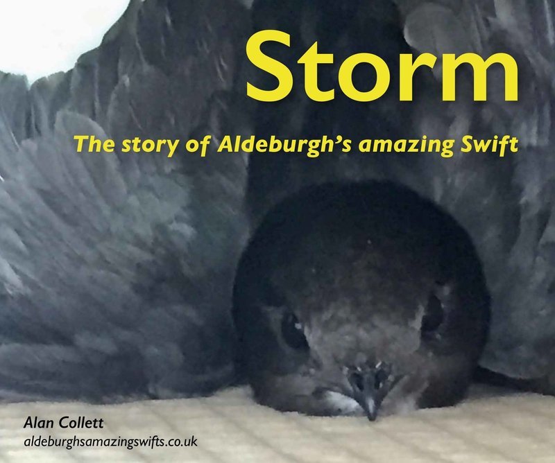 Storm by Alan Collett