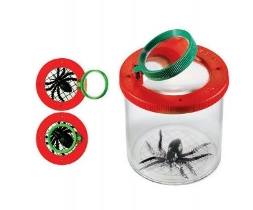 World's Best Bug Box