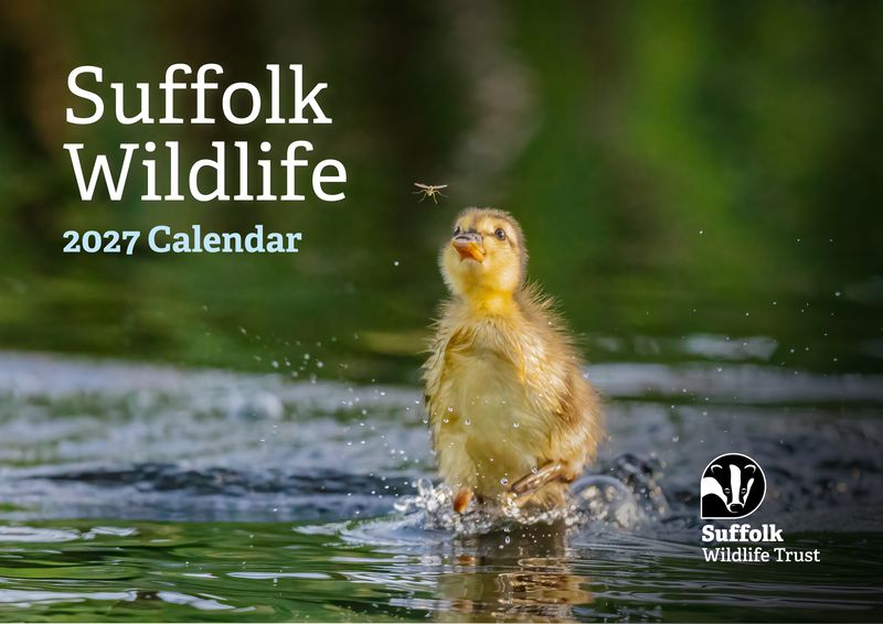 Suffolk Wildlife Trust Calendar - 2027