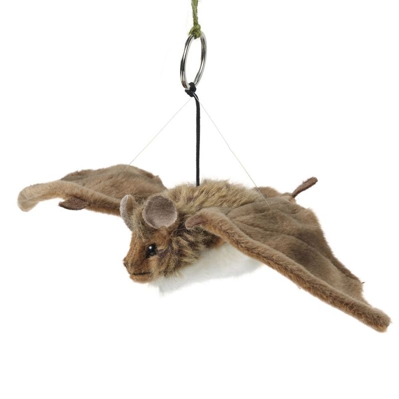 Small Cuddly Bat