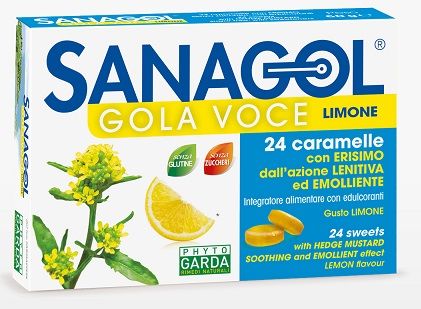 SANAGOL GOLA VOCE S/Z LIM24CAR SANAGOL GOLA VOCE S/Z LIM24CAR