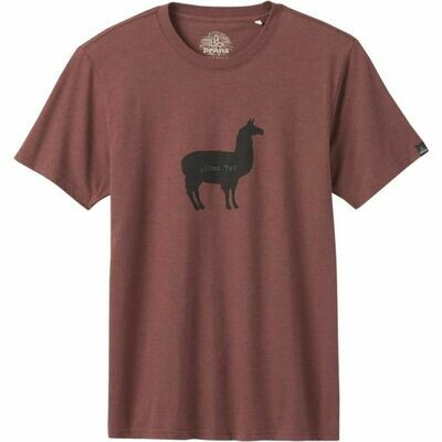 prAna Como Te Llama Journeyman Tee Shirt