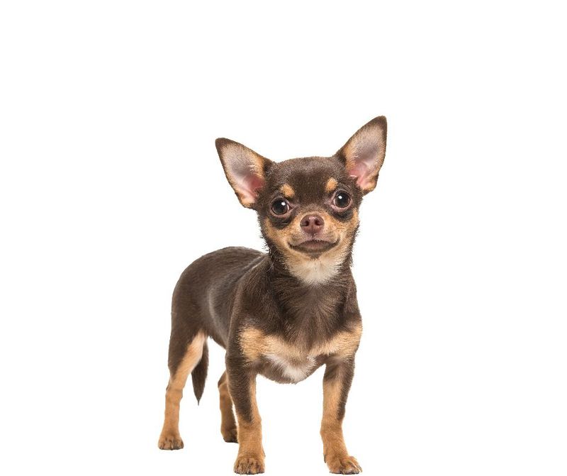 Preferred Supplier Not Exhibiting