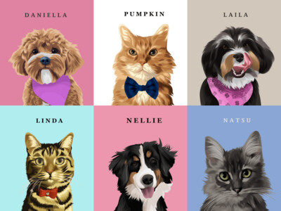 Cartoon Pets