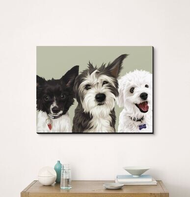 Cartoon Pets