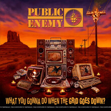 Public Enemy - What You Gonna Do When The Grid Goes Down? New Sealed Vinyl LP