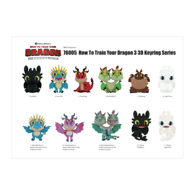 How to Train Your Dragon 3: The Hidden World - 3D Figural Foam Keychain Blind Bag (Single Unit)