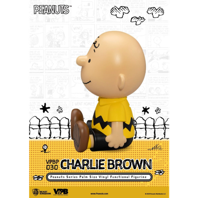 Pre-Order: Beast Kingdom Piggy Bank Peanuts Series Palm Size Vinyl Functional Figurine Charlie Brown