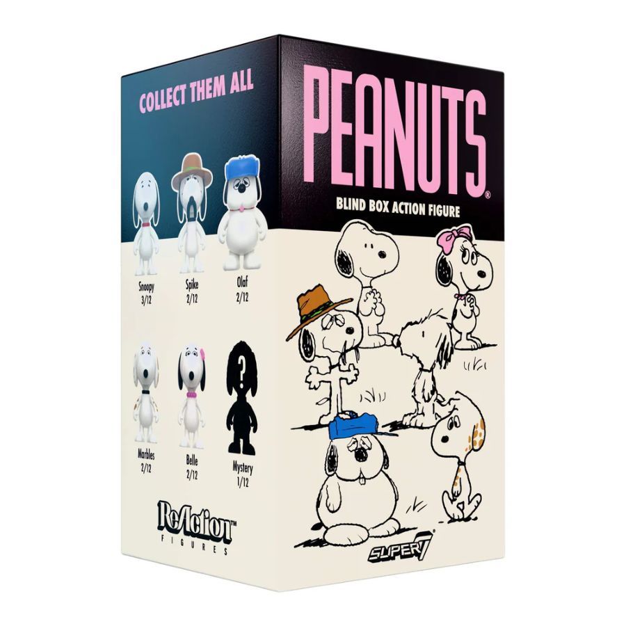 Peanuts - Snoopy's Siblings Blind Box (1 Single Box)