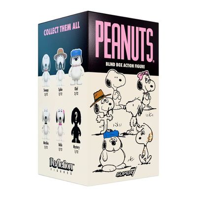 Peanuts - Snoopy's Siblings Blind Box (1 Single Box)