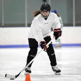 Stick and Puck