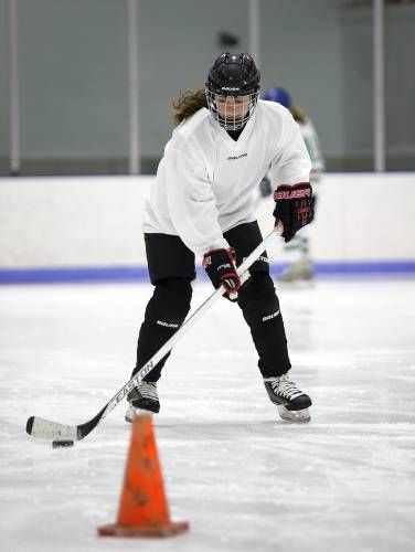 Stick and Puck