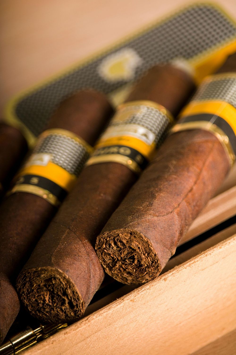 Cigar (Sample Product)