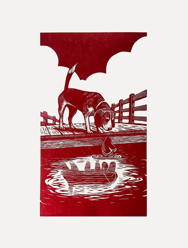 The Dog and the Shadow