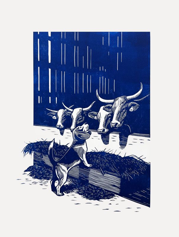 The Dog in the Manger