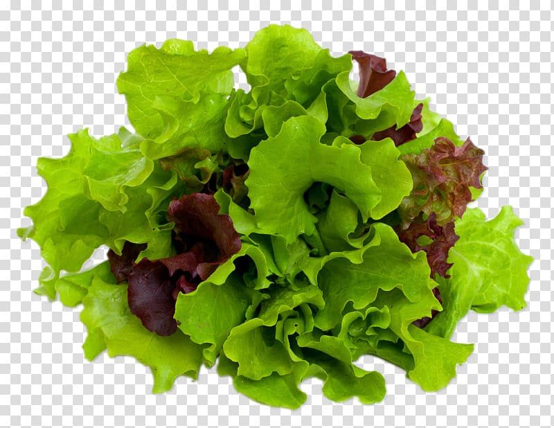 Mixed lettuce leaves MIX