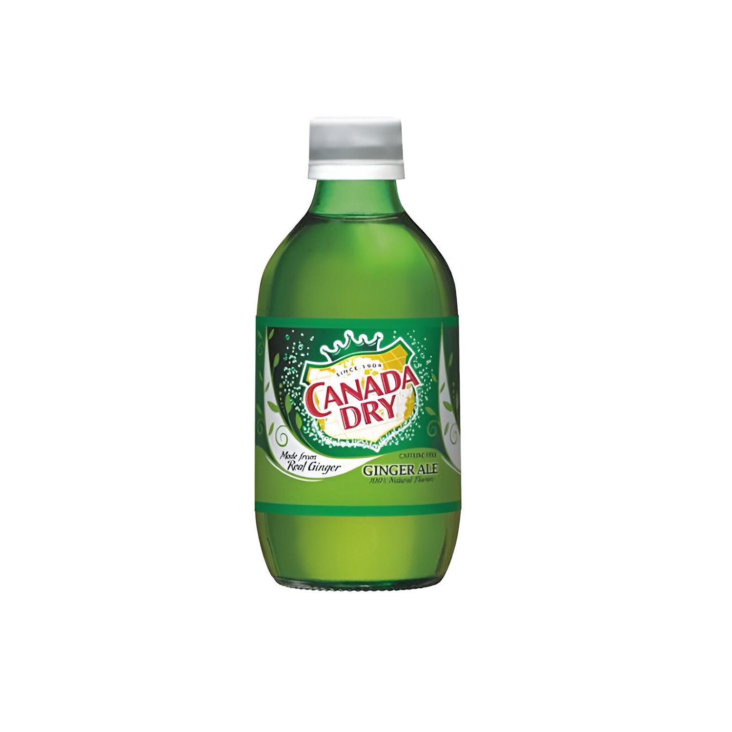 CANADA DRY Ginger Ale 10 oz Bottles