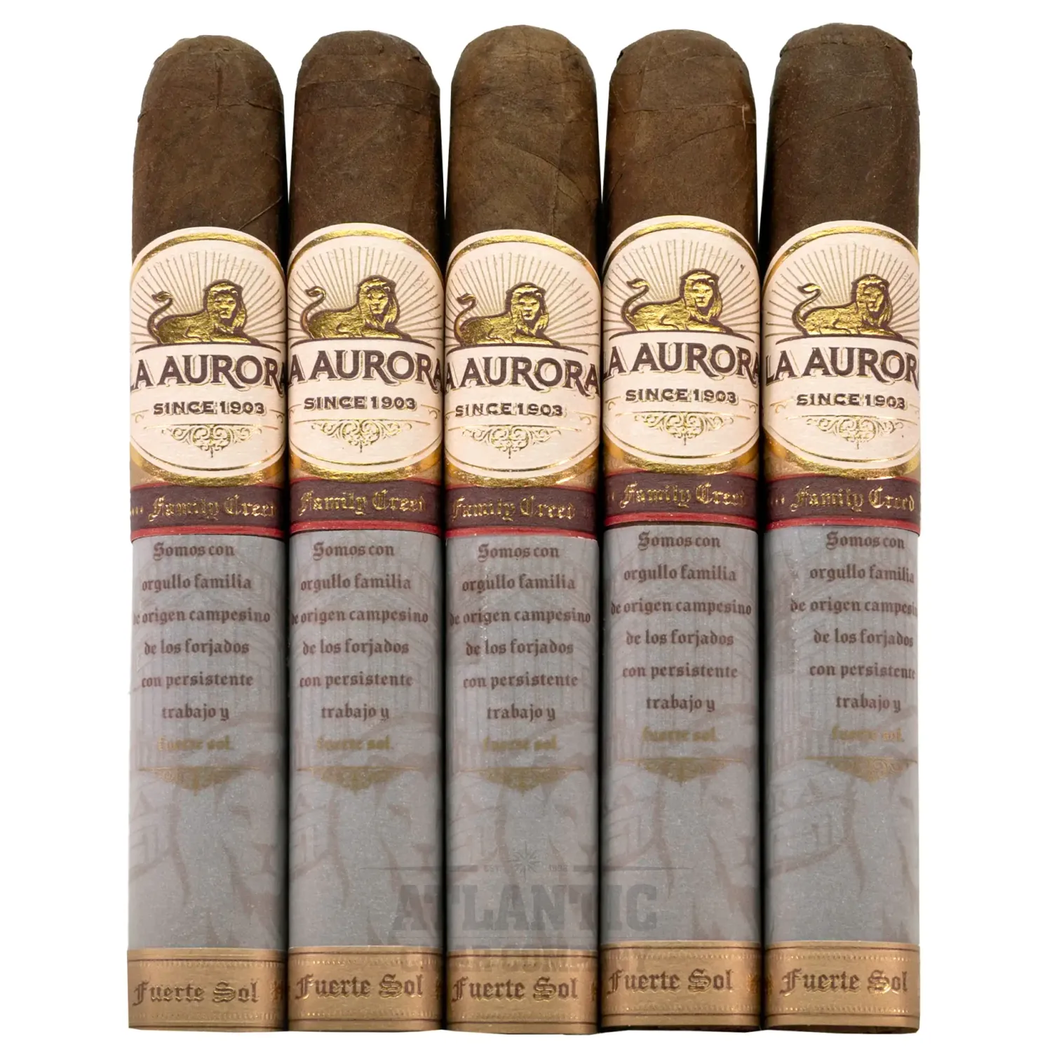 LA AURORA Fuerte Sol Robusto 5x50