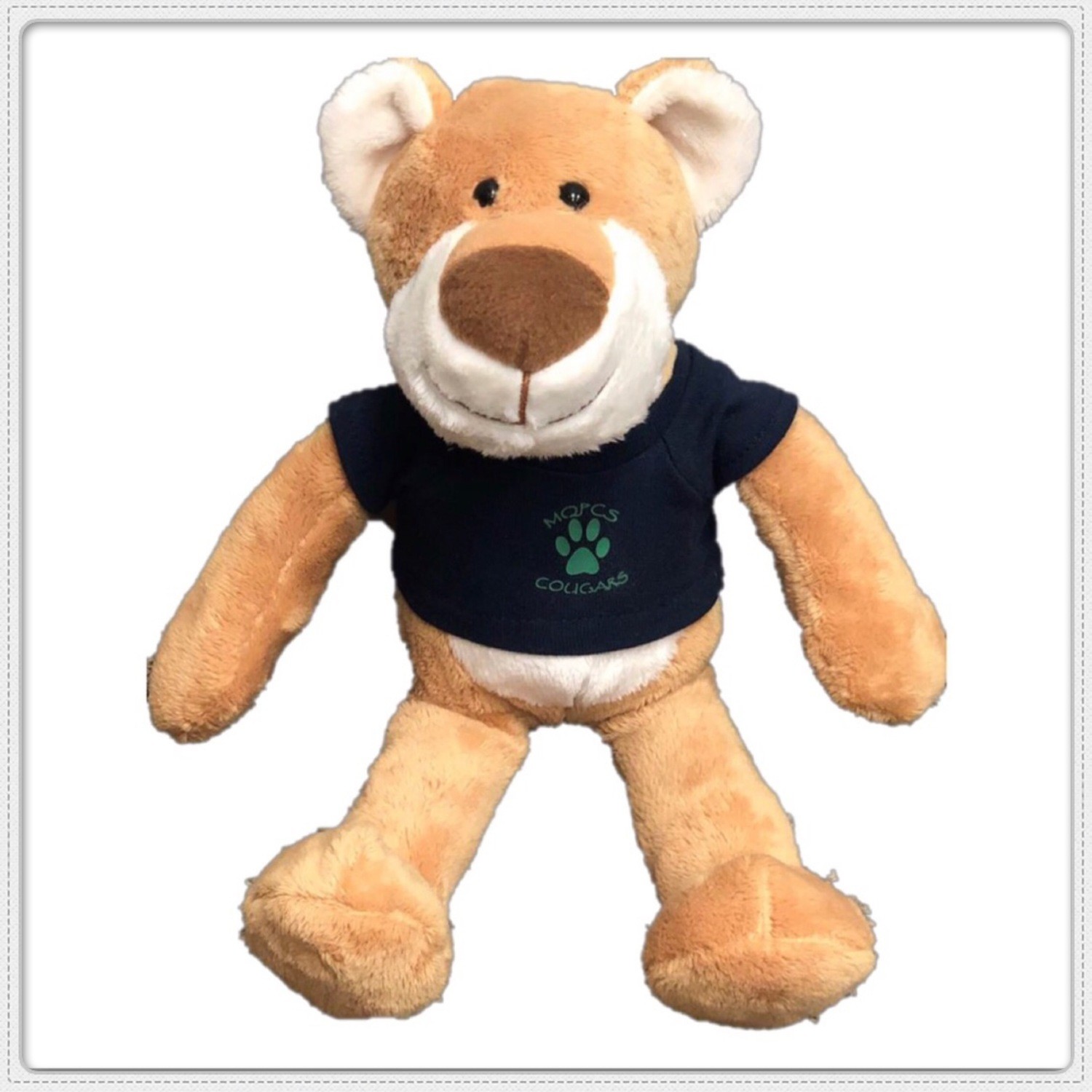 Cougar Bear