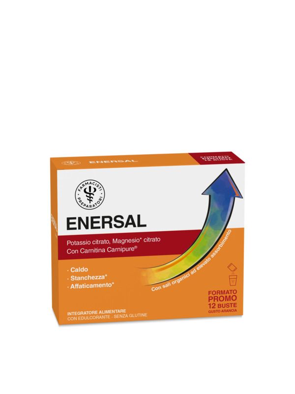 LFP PRO ENERSAL 12BUST