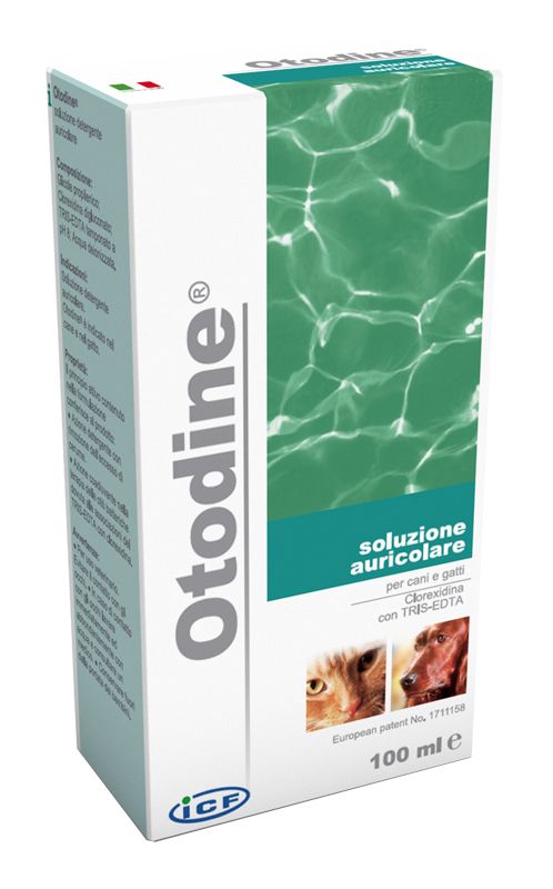 OTODINE DET LIQ 100ML OTODINE DET LIQ 100ML