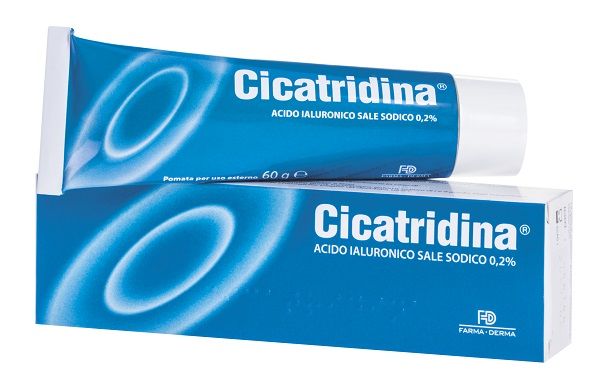 CICATRIDINA POMATA 60G CICATRIDINA POMATA 60G