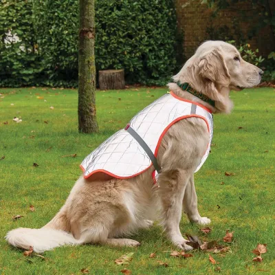 GoFluo Rover Reflective Quilted Dog Vest