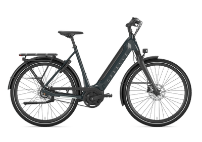 Gazelle, Ultimate C8 
