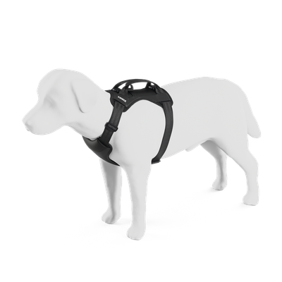 Thule Cappy Dog Harness