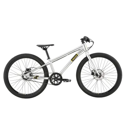 Breezer Beltway 24 Silver