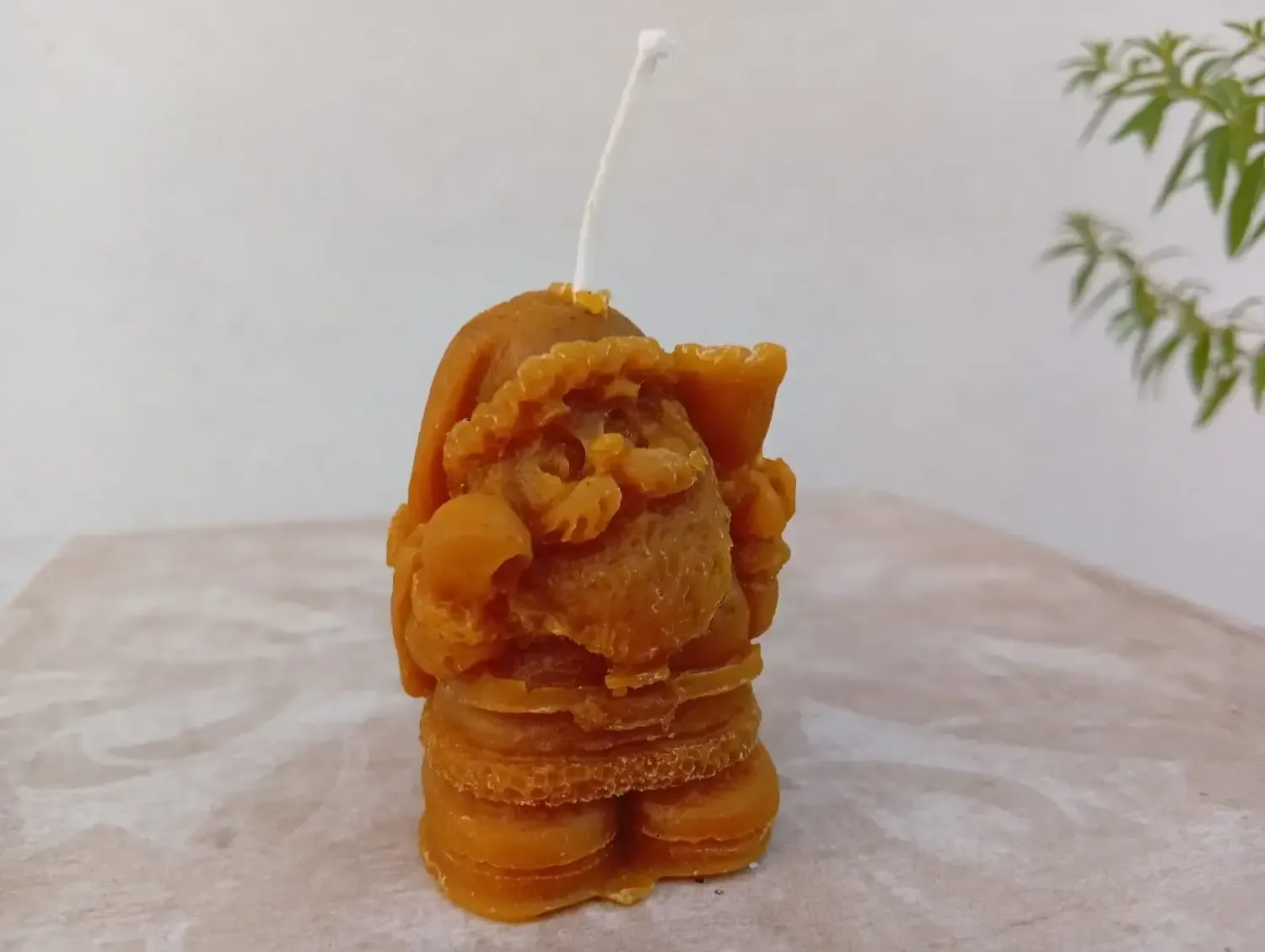 VELAS DE CERA DE ABEJA (Enano)