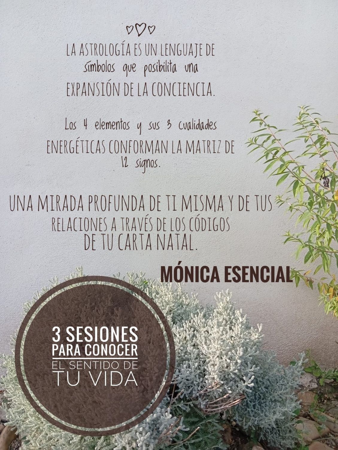 3 Sesiones de Astrología o Coaching