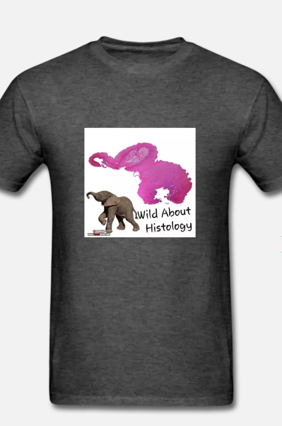 Wild About Histology T-Shirt (MEDIUM)