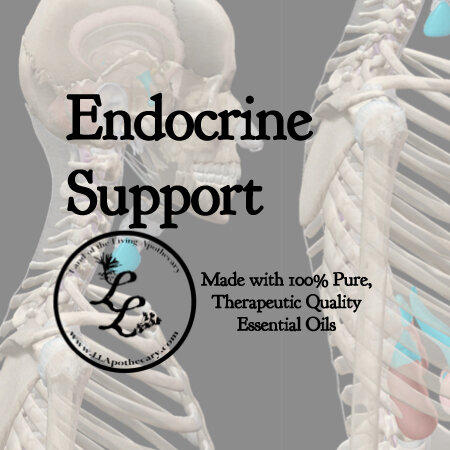 Endocrine Support