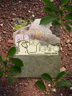 Productos agroecológicos
