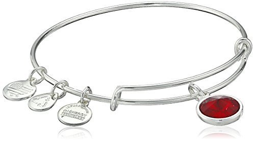 Alex and Ani &quot;Bangle Bar&quot; January Imitation Birthstone Shiny-Silver Tone Expandable Bracelet