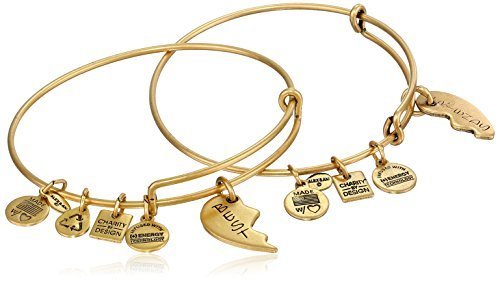 Alex and Ani Charity by Design Best Friends Rafaelian Gold F