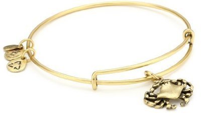 Alex and Ani &quot;Bangle Bar&quot; Rafaelian Gold-Tone Crab Expandable Bracelet