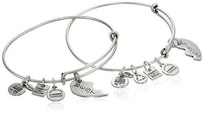 Alex and Ani &quot;Charity by Design&quot; Best Friends Rafaelian Silver-Tone Bangle Bracelet, Set of 2
