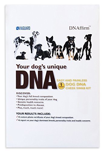 Dog DNA - Canine Breed Identification Test - Home Cheek Swab Kit