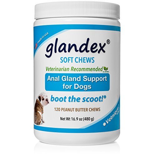 Glandex Soft Chews 120 Count, Anal Gland Fiber &amp; Probiotic Digestive Supplement for Dogs